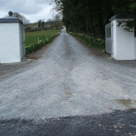 格罗夫住宿加早餐旅馆 Inistioge 外观 照片