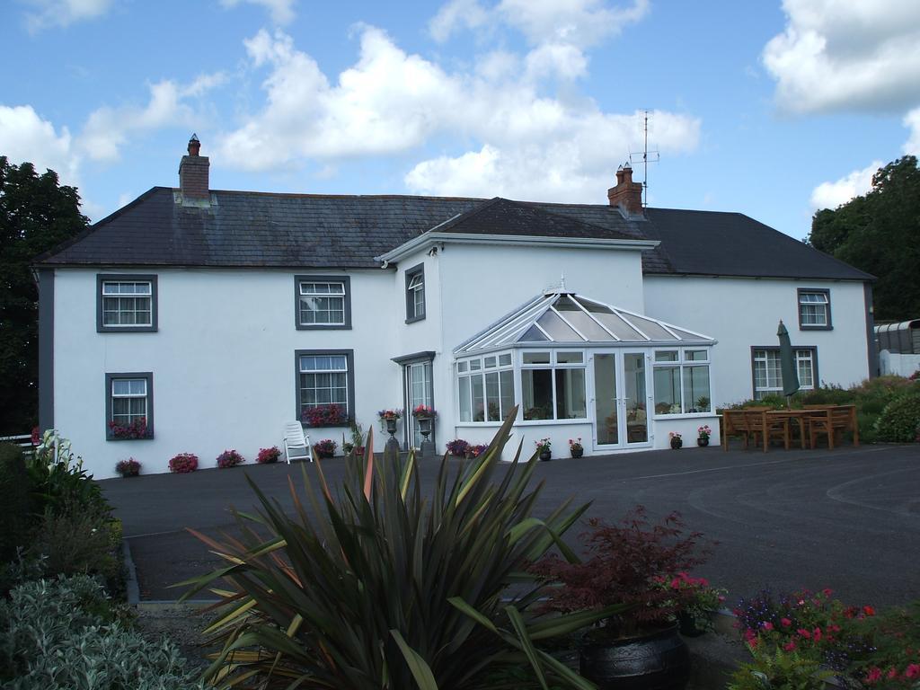 格罗夫住宿加早餐旅馆 Inistioge 外观 照片