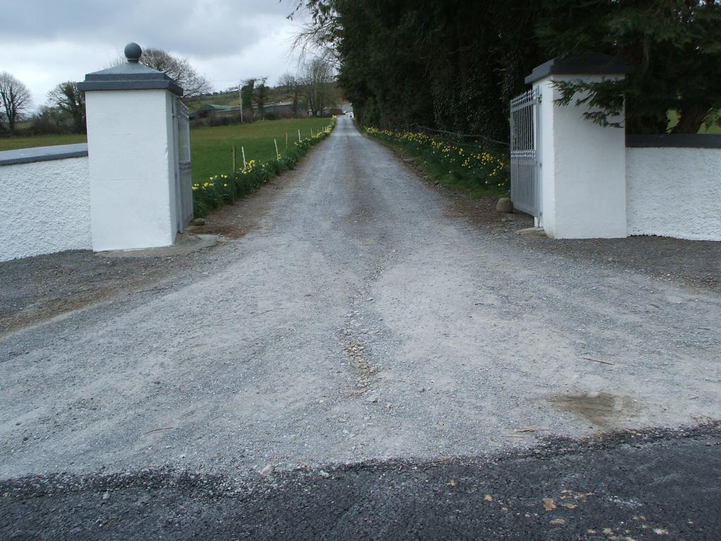 格罗夫住宿加早餐旅馆 Inistioge 外观 照片